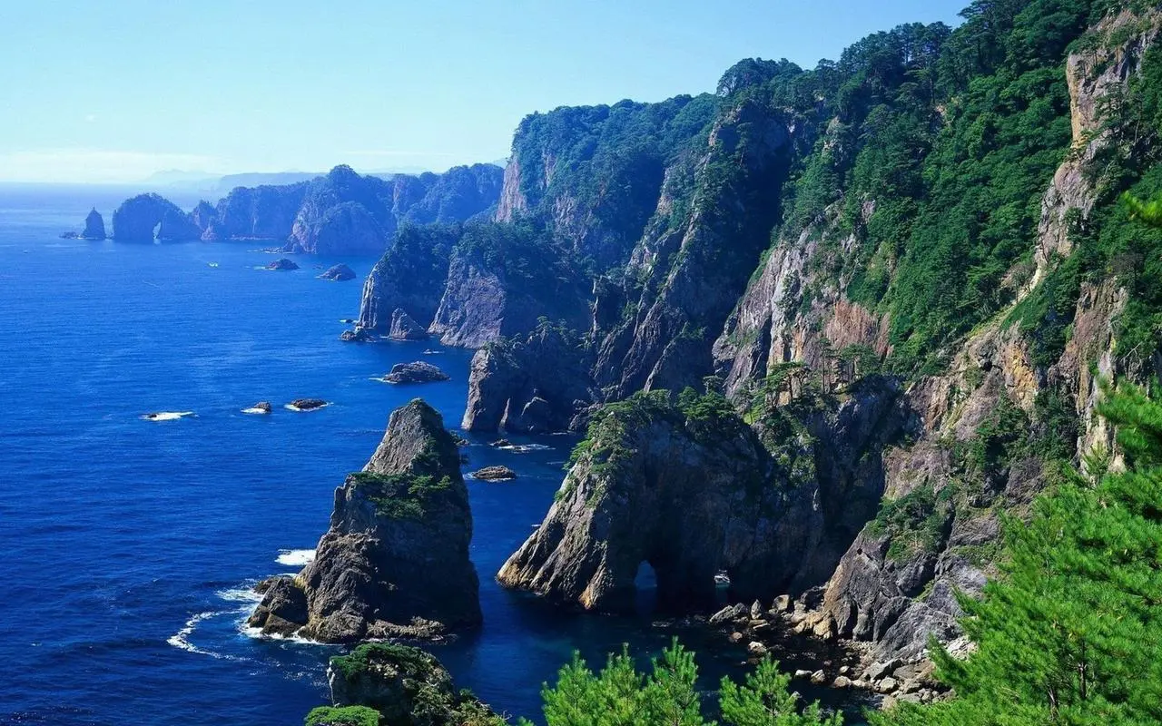 全自动节能